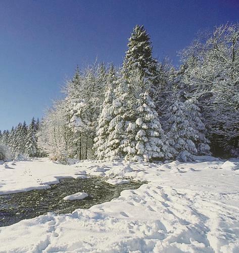Camping de Binnenvaart Superior Chalet