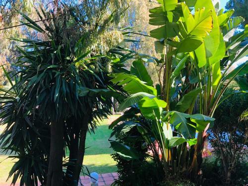 Apartamento Pol Suite Y Hada Suite Puerto Banus Beach