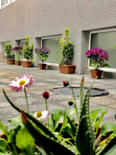 Shalimar Boutique Hotel