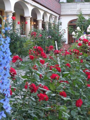 Hostal Hotel Weingut Rosenhof