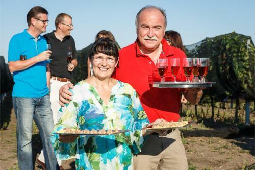 Hostal Weingut & Landhaus Willi Opitz