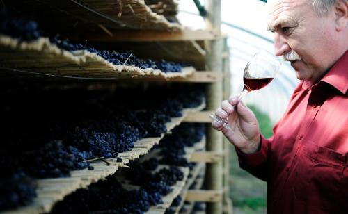Hostal Weingut & Landhaus Willi Opitz
