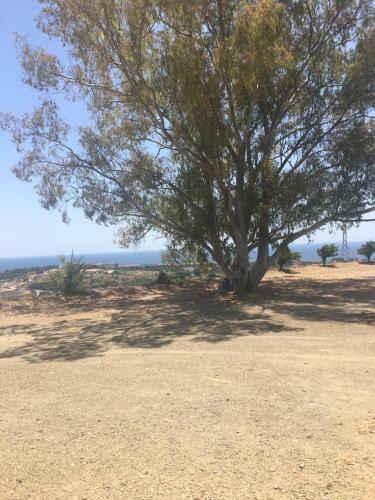 Casa Rural En Marbella
