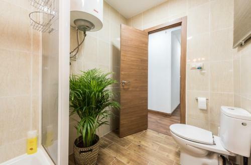 Grand Apartment La Latina