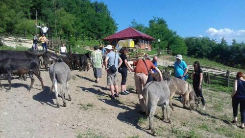 Apartmani Gs ***** Zavidovici