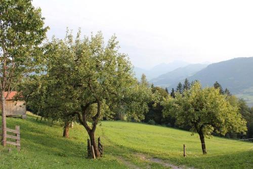 Apartamento Appartement Samerhof