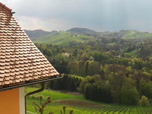 Hostal Weingut Skoff Original