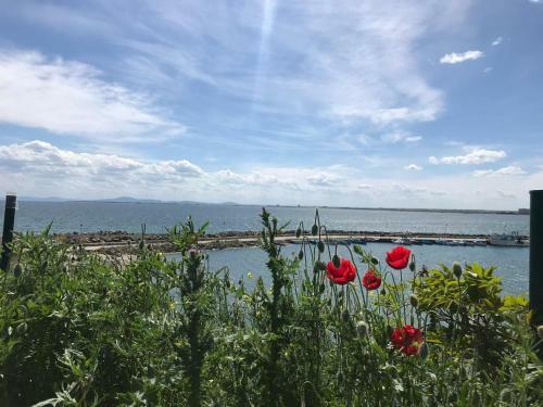 Apartamento Black Sea Wellnest