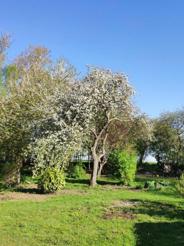 G�te Aische-en-refail