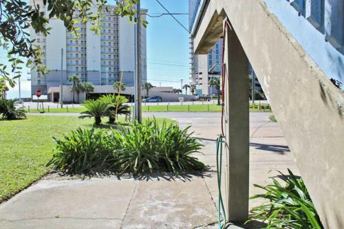 Cove By Youngs Suncoast