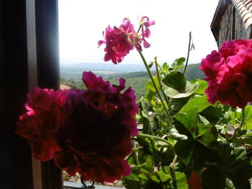 Apartamentos Azahar