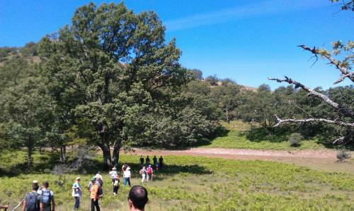 Agroturismo Casa Rural El Abuelo Luis