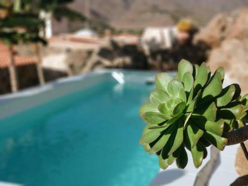 Agroturismo Los Pinos