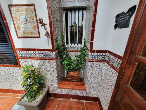 Apartamento Traditional Canarian House With Sea Views