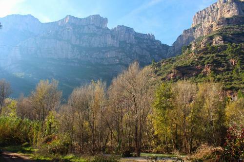 Barcel� Esteve Apartaments
