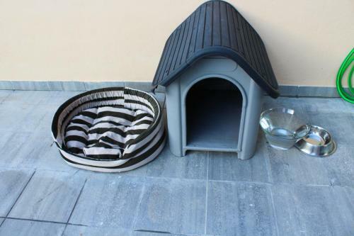 Barcel� Esteve Apartaments