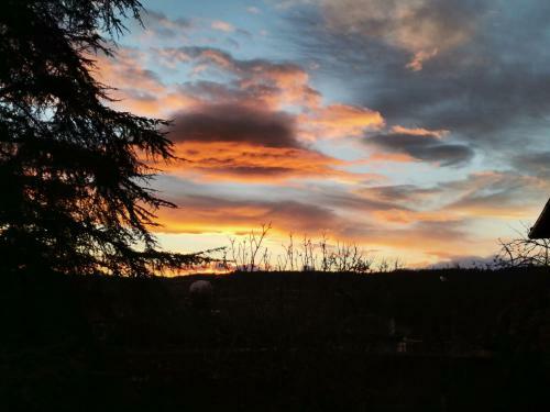 Casa Con Finca En Pol (Monforte de Lemos)