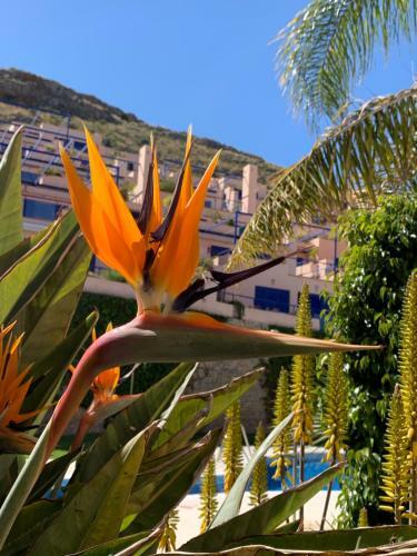 Apartamento Atalaya De Mojacar