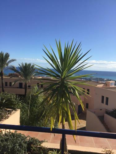 Apartamento Atalaya Dreams