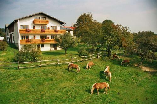 Apartamento Wolf-hof