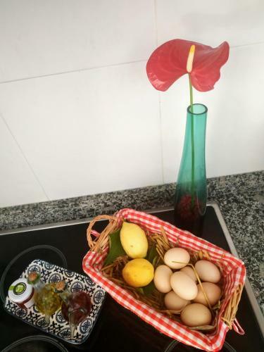 Apartamento M20