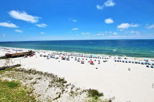 San Carlos 801 By Youngs Suncoast