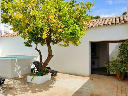 El Patio Del Lim�n