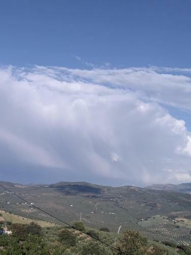 La Vi�olilla