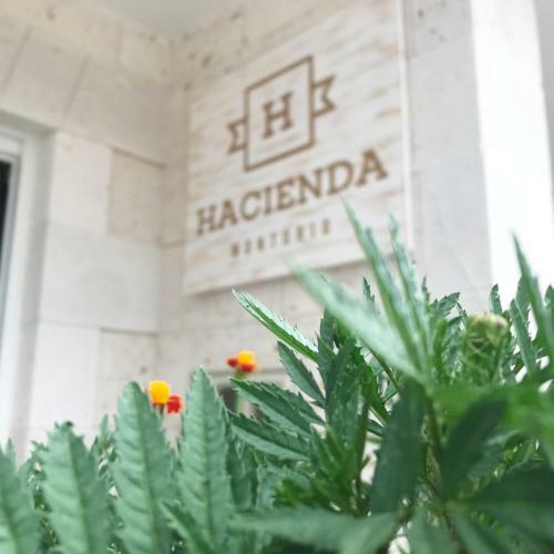 Casa Rural Hacienda Montorio