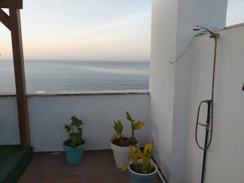 Apartamento La Pecera