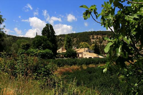Agroturismo Cortijo Los Gorros
