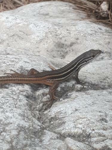 Mi Casa De Moratalla