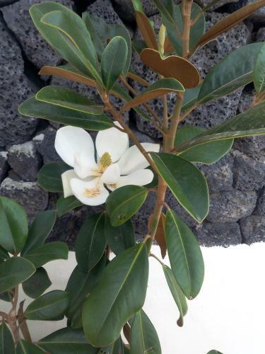 Agroturismo Finca La Rubina