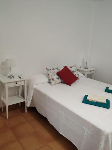 Apartamento Mariposas Jand�a 4
