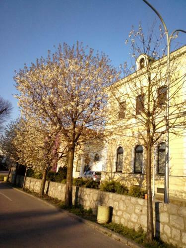 Goca Apartman