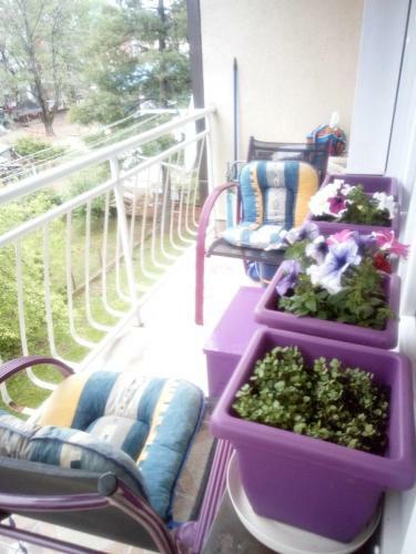 Goca Apartman