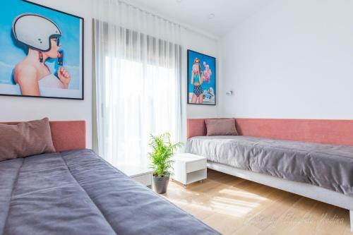 Apartamento - Oasis