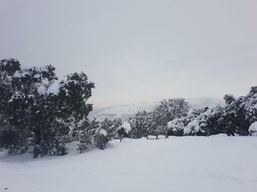 Agroturismo El Mirador Del Alberche 1