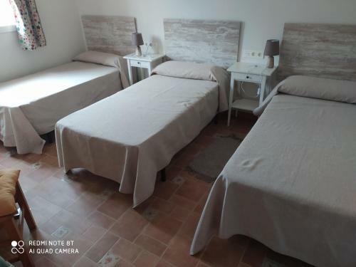 Cortijo Oliveras Moratalla