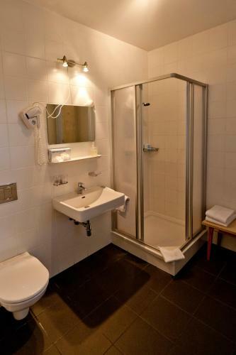 Hostal Gasthof Weisses Dach - Open Space
