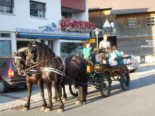Agroturismo Friesenhof Blank