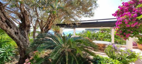 Villa Somiedo Solidays