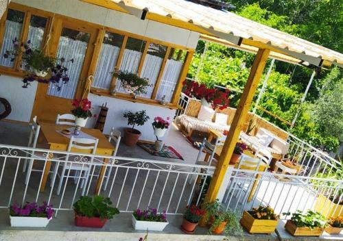 Hostal Tearra Guesthouse