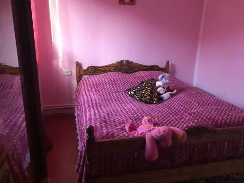 Guesthouse/b&b
