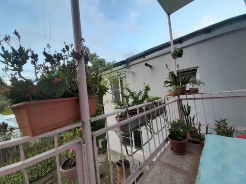 Guesthouse/b&b