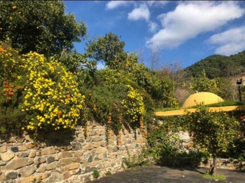 El Capricho De Almadan