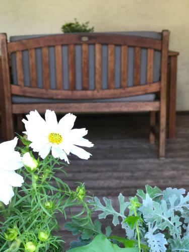 Apartamento Appartements Unterdorfer