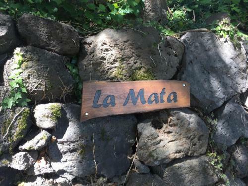 Mas La Mata