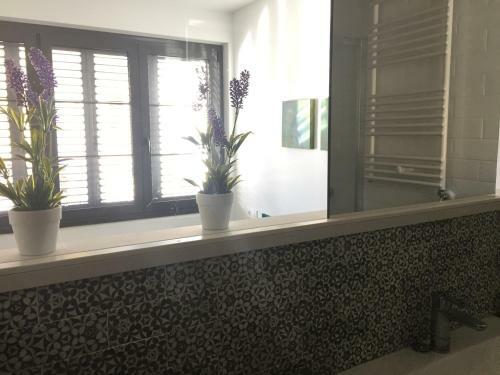 Apartamento C�ntrico En Olot