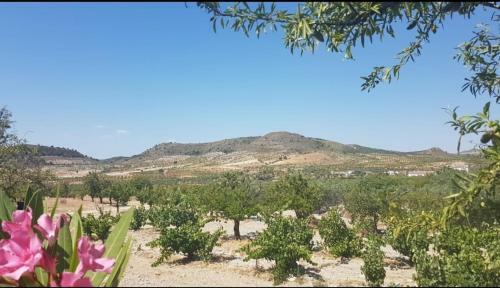 Immaculate 2-bed 2-bathroom Casa In Oria Almeria
